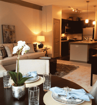 Cozy open-plan living room and kitchen with set table